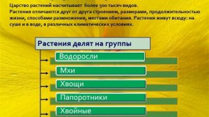 Разнообразие живых организмов, 5 класс естествознание