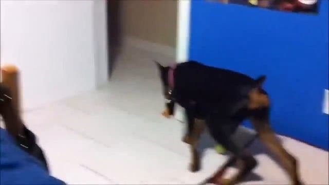 Смешные люди