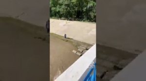 Арни и Марат - Телевизор (все части, 5 нету)