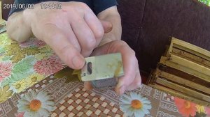 Пчеловодство.Подсадка маток через клеточку Титова.