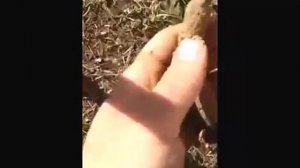 Определение типа грунта и его свойств в полевых условиях