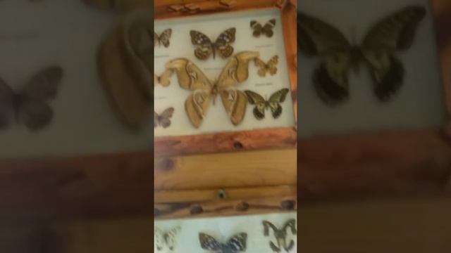 рыбалка Матвеевка Вован на рыбалке в хлам смотреть онлайн