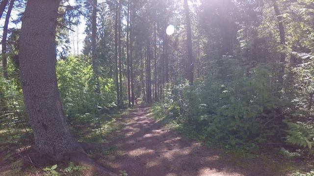 Карпово - Командная эстафета 01_26_2019 смотреть онлайн