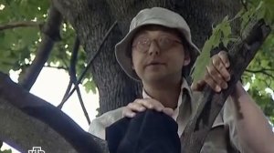 Возвращение Мухтара 2. Старая пластинка