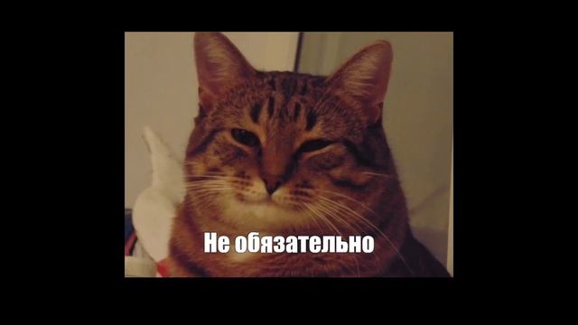 КАК СДЕЛАТЬ Слайд ноты в FL STUDIO MOBILE 4 //Туториал