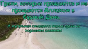 Кто и когда протрубит в Сур? | Как проведут отчет на Махшаре в День Суда? | Трудности Судного дня|