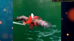 Они ловили рыбу, когда случилось то, что можно увидеть раз в жизни!