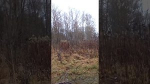 как лучше трогаться с места на велосипеде