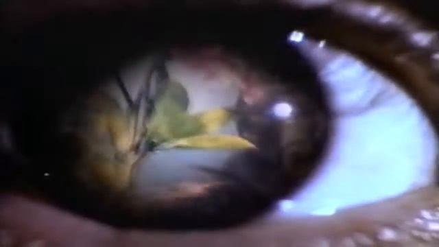 The Escape Club - I'll Be There.mp4 смотреть онлайн