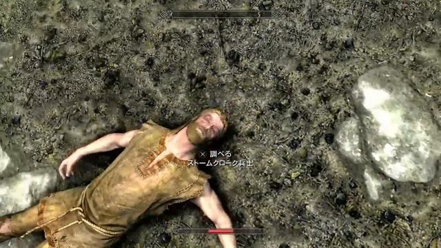 【PS4版】mod入りスカイリム 雑談プレイ LIVE配信 【Skyrim】 смотреть онлайн