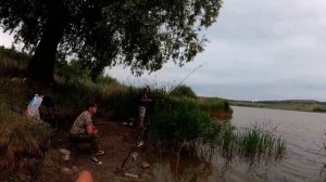 РЫБАЛКА НА ПОПЛАВОК! ОЗЕРО КРАВЦОВО!