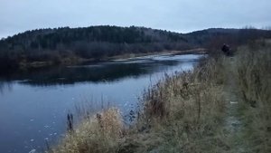 рыбалка и немного копа