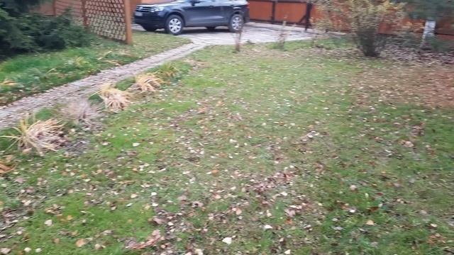 (151) Сбор листьев на дачном участке смотреть онлайн