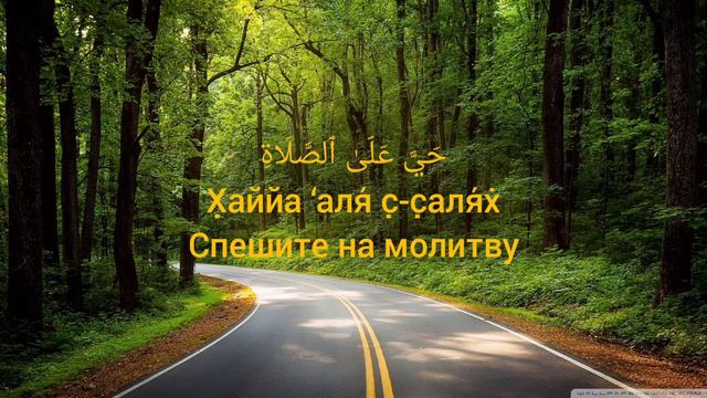 #исламские #цитаты #7 #мудрость #мудрыеслова #islam #ислам #красиво #голос #религия #душа