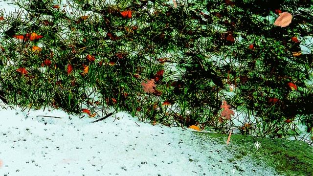 "Прощалась осень". Стих и монтаж Лара. 18. 11. 2020г. смотреть онлайн