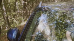 Съемка с капота автомобиля при движении.