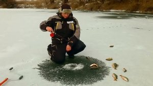 Ловля окуня и щуки на балансиры