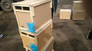 Карпатка. Покупка пчелопакетов. Пчеловодство.Нефтекамск.