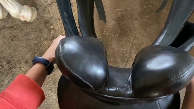 Страх перед лошадью. Часть 3 подбор седла и первая самостоятельная рысь