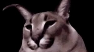 Большая шлёпа танцует