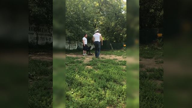 Скучаю по тебе 😔 смотреть онлайн