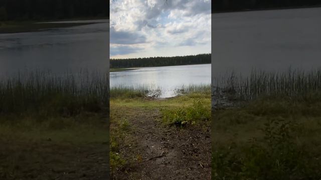 Турстоянка 6А. Почозеро. Кенозерский национальный парк.