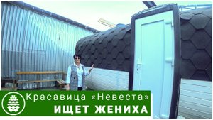 Обзор готовой БАНИ-БОЧКИ 4 метра. Невеста на выданье!