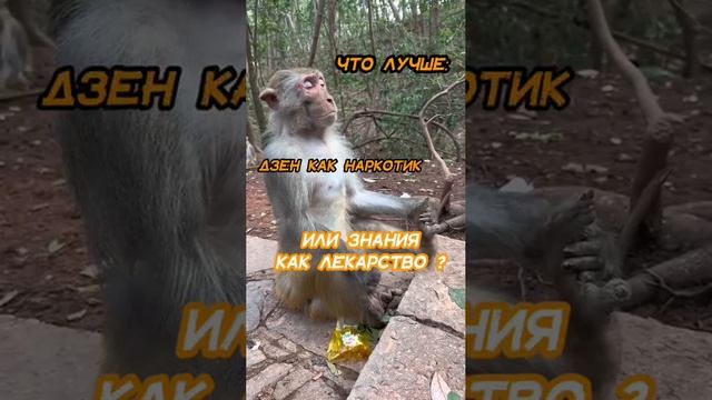 Знания как лекарство...mp4