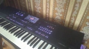 C.C.Catch_Heartbreak Hotel_Medeli akx 10 synthesizer cover