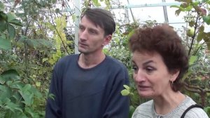 Цитрусовые дома лимон пандероза. Сайт "Садовый мир"