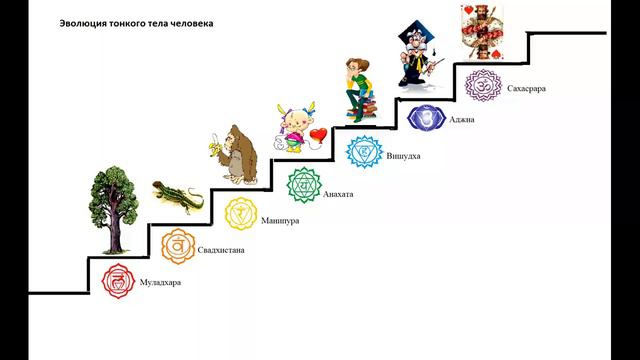 Светлана Фея "Чакродиагностика" смотреть онлайн