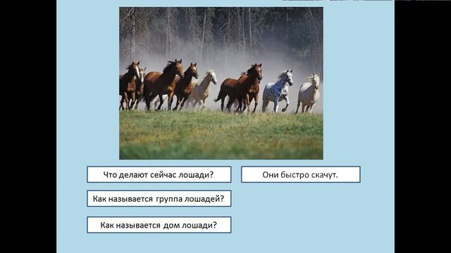 Чем занимаются люди на ферме смотреть онлайн