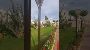 обзор отеля Reef Oasis Beach Resort в Sharm El Sheikh, Egypt