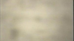 О ЧЕМ ДУМАЛА РЫБА