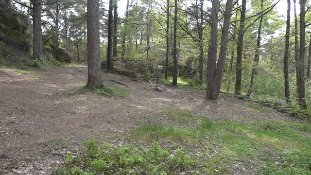 Discgolf hole in one смотреть онлайн