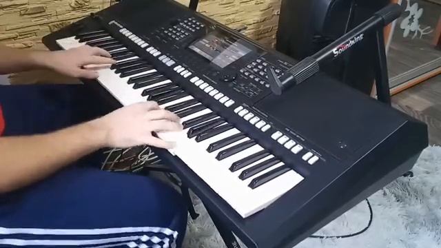 Цыганочка на синтезаторе))))