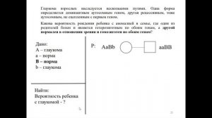 13  Решение задач на комплементарность