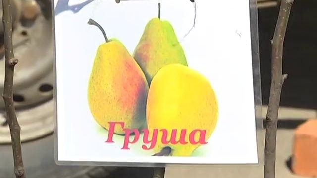 СЕРТИФИКАТЫ ОТСУТСТВУЮТ