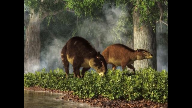 Земля до начала времени 13 невероятно живых иллюстраций обитателей палеозойской эры смотреть онлайн