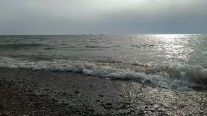 VID20221002152458.mp4