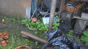 Два в одном, кран + кантователь  для снятия и ремонта двигателя.