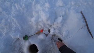 ?С Батей на Кордон.Пять Дней в Лесу.Щуки на Самоловки.Коптим Рыбу.Баня В Лесу.Часть2
