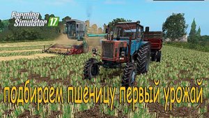 Подбираем пшеницу на комбайне Енисей 1200 _Фс 17_ вожу на белорусе мтз 80 зерно домой.mp4