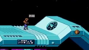 NES - Battletoads & Double Dragon