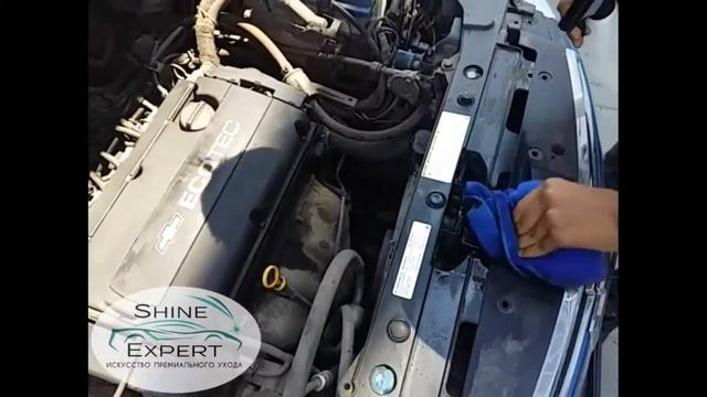Shine Expert Мойка двигателя смотреть онлайн