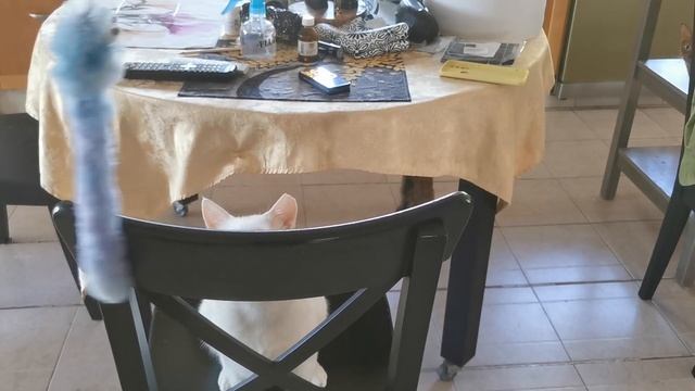 Страшилкин, он же Белый Баклажан, он же Хациль Лаван играет.