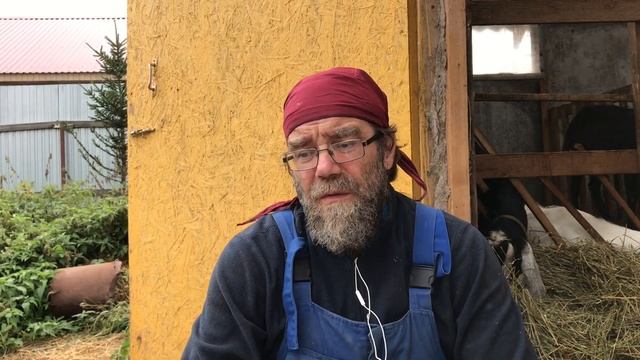 Каким должен быть сарай для коз? Ответы на вопросы подписчиков экофермы ЛПХ Фроловых