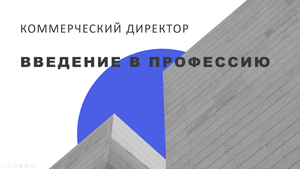 Коммерческий директор. Введение