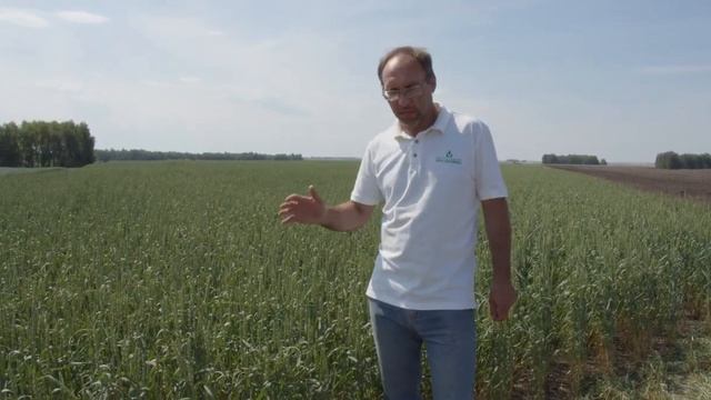 Кургансемена раскрывает секреты про свои сорта!