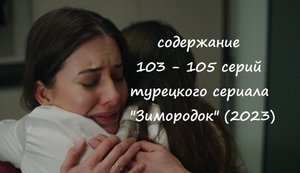 Содержание 103, 104 и 105 серий турецкого сериала "Зимородок" (РФ, 2023)